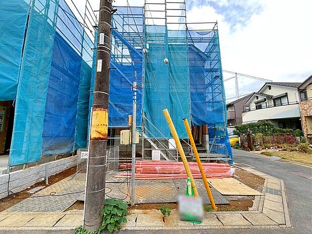 11/11撮影のお写真です