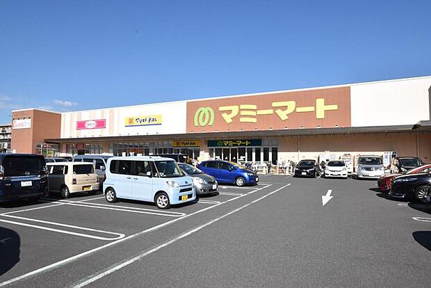 マミーマート松戸新田店 徒歩11分。 830m