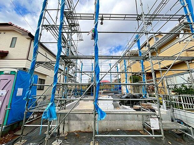 11/18撮影のお写真です