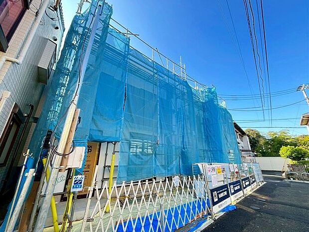 11/28撮影のお写真です