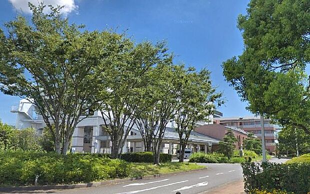 医療法人社団城東桐和会タムス市川リハビリテーション病院 徒歩33分。 2570m