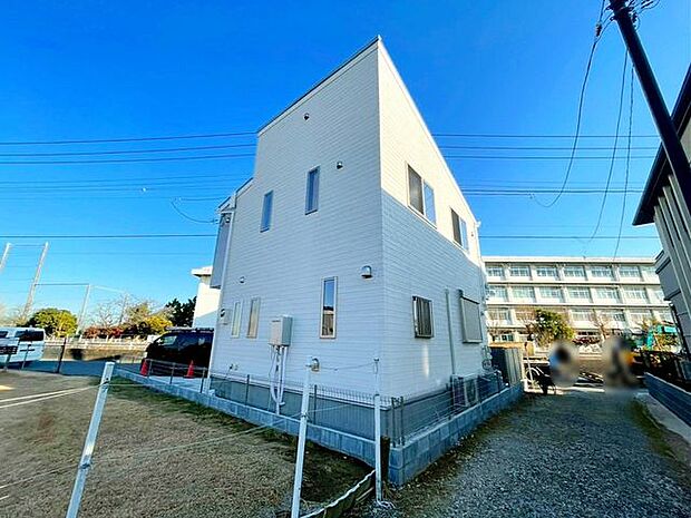 1/13撮影のお写真です