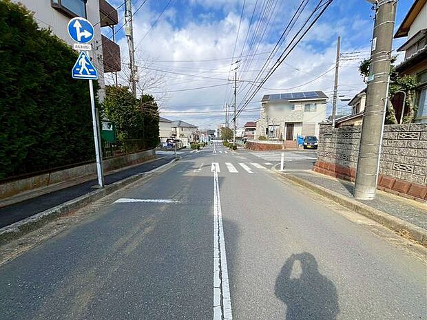 1/19撮影のお写真です