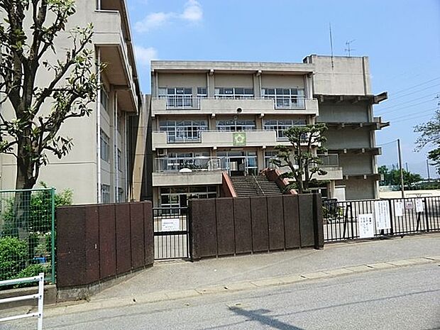 松戸市立大橋小学校 徒歩5分。 330m