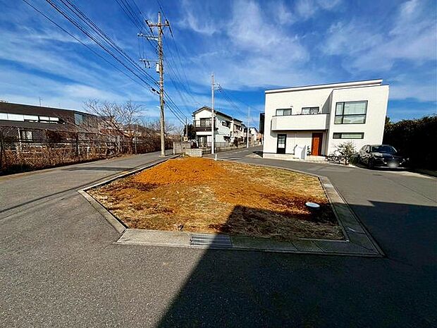 2/5撮影のお写真です