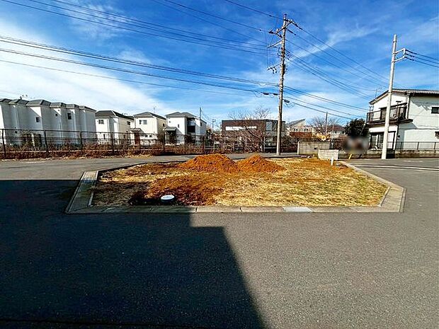 2/5撮影のお写真です