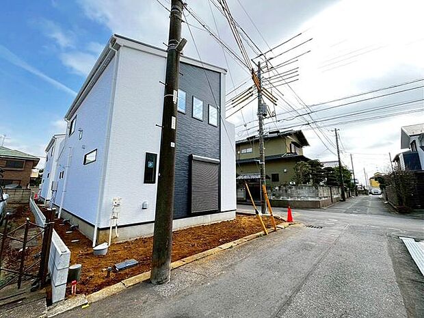 2/24撮影のお写真です