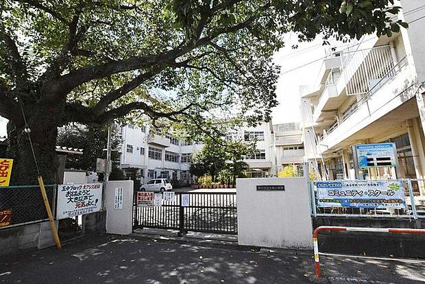 市川市立大柏小学校 徒歩13分。 1000m