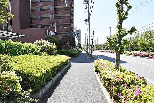 【前面道路】