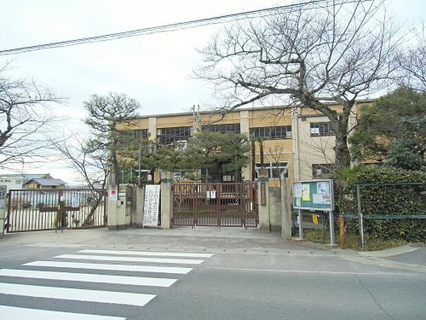 【小学校】京都市立第三錦林小学校まで604ｍ