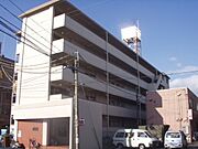 メゾン近江富士 4階 築48年2ヶ月の賃貸物件