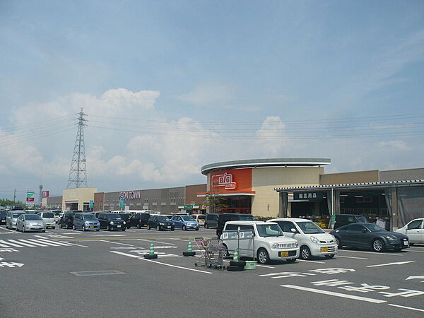 ザ・ビッグエクストラ野洲店