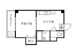 ルミナス錦 6階/-