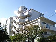 ダンディライオン住吉川 3階 築37年1ヶ月の賃貸物件