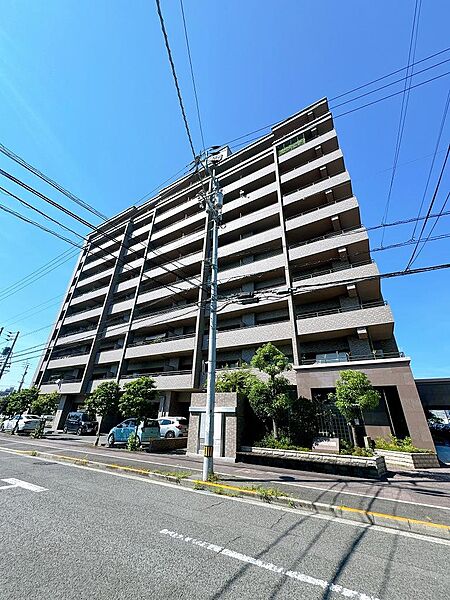 外観：337000025747