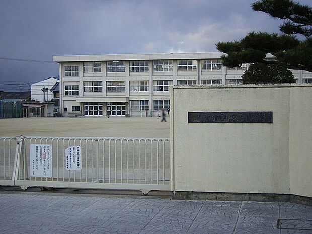 橿原市立真菅小学校