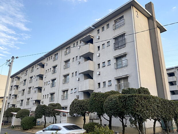 浅香山住宅3号棟(3DK) 5階の外観