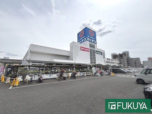 コーナン泉大津店