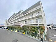 金剛グリーンハイツＮＢ棟の賃貸物件