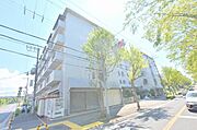 金剛駅より徒歩14分 1階 築53年の賃貸物件