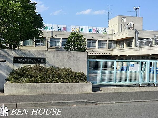川崎市立稗原小学校 徒歩8分。教育施設が近くに整った、子育て世帯も安心の住環境です。 630m