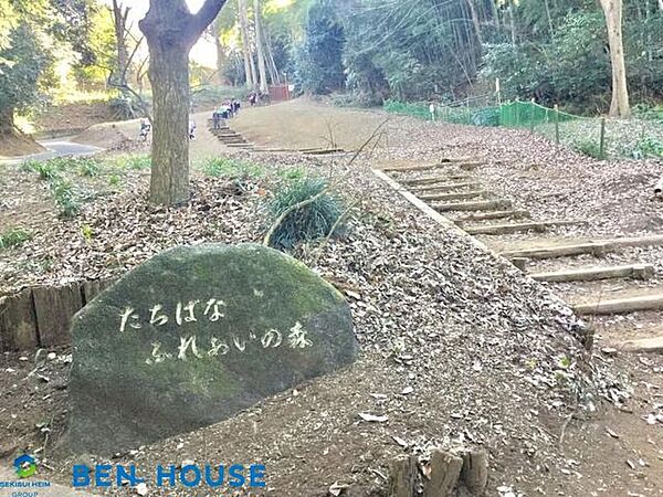 たちばなふれあいの森 徒歩5分。四季の移ろいを感じる緑豊かな住環境です。 330m