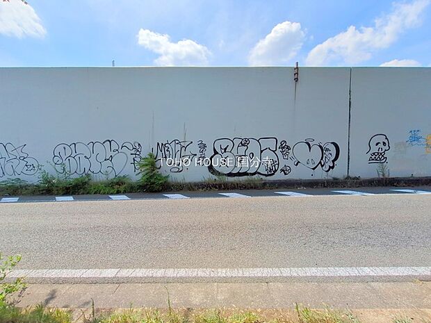 前面道路含む現地