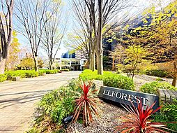 エルフォレストガーデンウイング