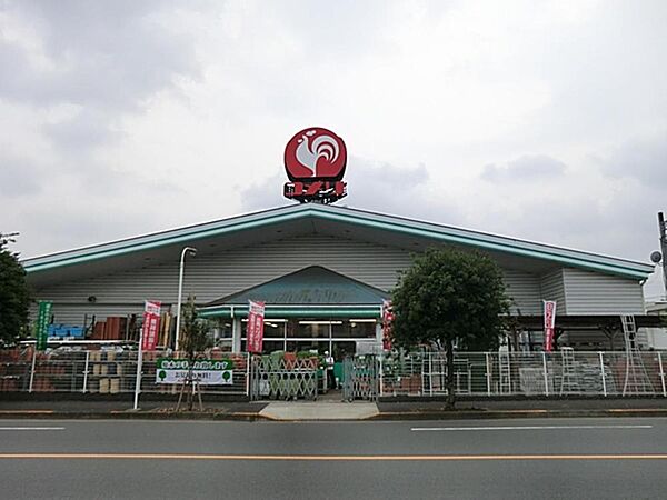 コメリハード＆グリーン青梅今寺店まで約2256m