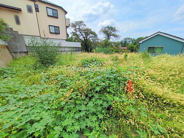 前面道路含む現地