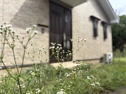 東京都府中市住吉町１丁目