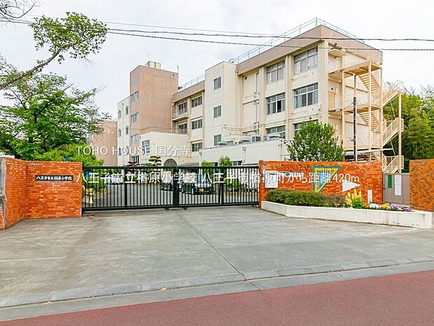 八王子市立楢原小学校 420m