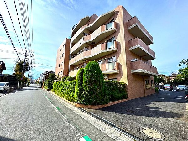 外観：313004521382