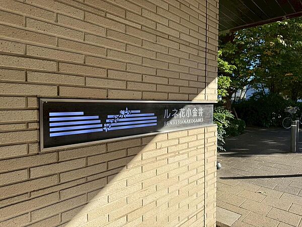 外観：313004517026