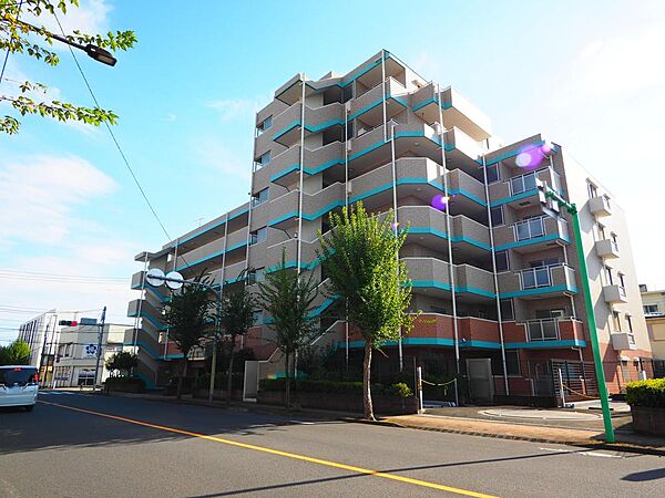 外観：313004521001