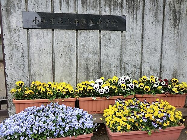 小平市立小平第五中学校まで約999m