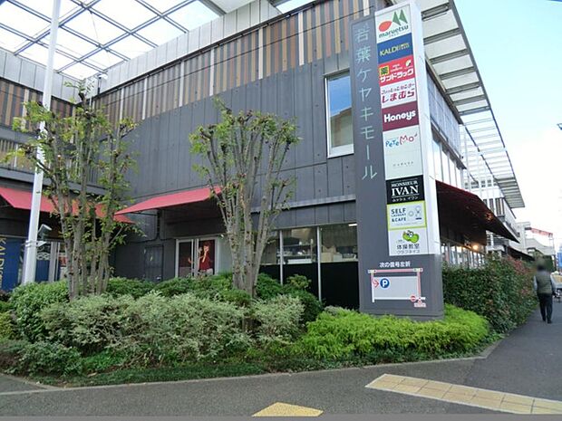 若葉ケヤキモールまで約1053m