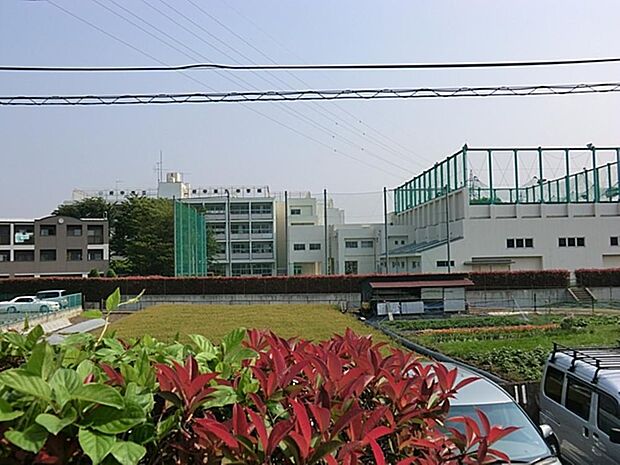 府中市立府中第九中学校まで約762m