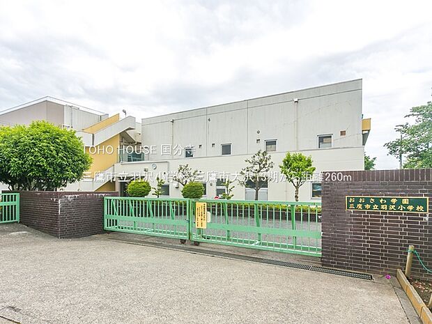 三鷹市立羽沢小学校 260m