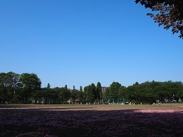 谷保第三公園まで約675m