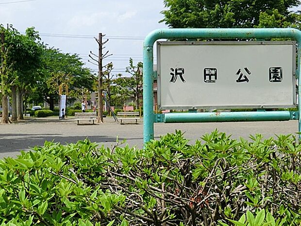 沢田公園まで約716m