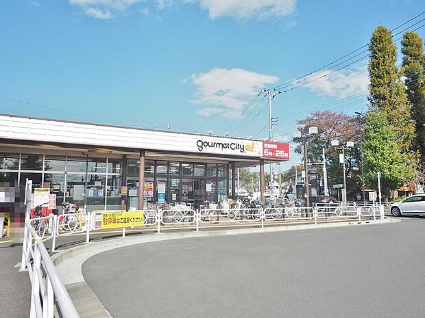グルメシティ立川若葉店まで約1242m