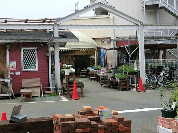 綿半ホームエイド国分寺店まで約2130m