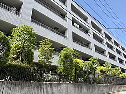 VIEQU COURT TOYOTAMA SOUTH