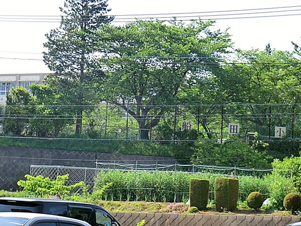 八王子市立船田小学校まで約600m