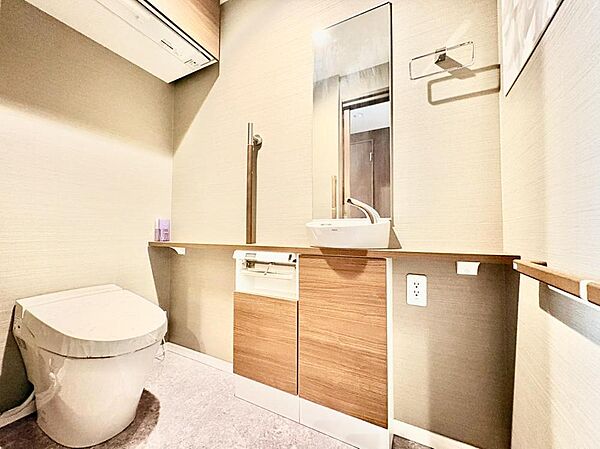 サッと手を洗える、手洗いカウンター付きのトイレスペースです。