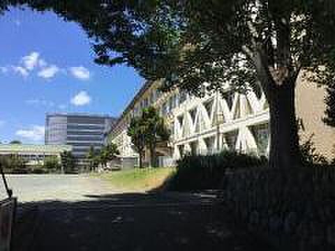 日野市立日野第三小学校まで約1407m