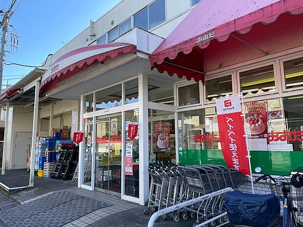 食品の店おおた多摩平店まで約745m