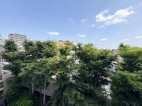現地から、昼と夜で違った雰囲気の景色を楽しむことができます。