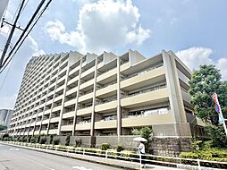 コスモひばりが丘ザ・ガーデンズフォートブリリアントヒル